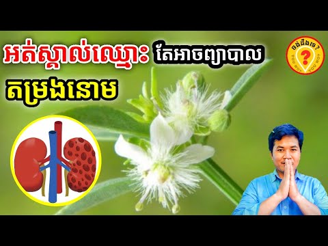 Advantages of Sweet broomweed plants ថ្នាំបុរាណពូកែ 1080p