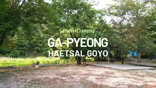 [709] [Camping Site] 햇살고요