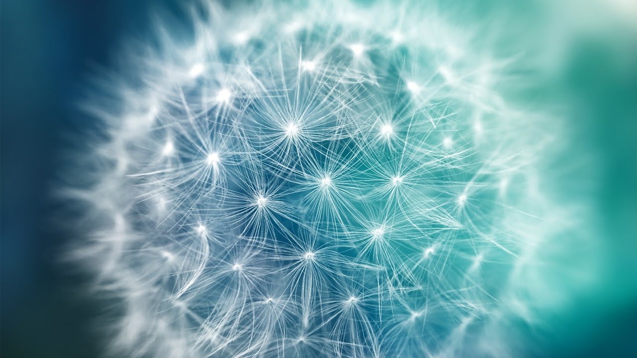 28. Söz Cennet bahsi