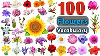 Flowers Vocabulary In English ll 100 Flowers Name In English With Pictures