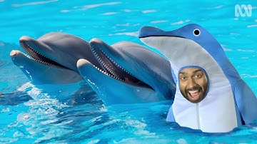 5 Things You Need To Know About Climate Change - Sciencey