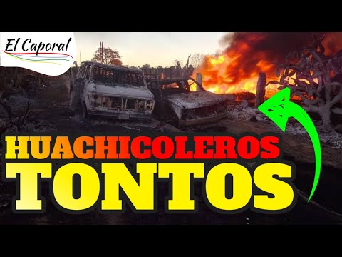 ? THEIR TRUCKS ARE BURNED for these Huachicoleros