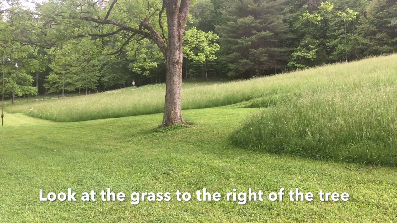 Impromptu Rocket Recall