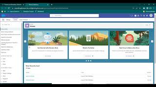 Create a Custom Theme and Branding and Activate it inSalesforce