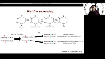 STAT115 Chapter 12.4 Techniques to Measure DNA Methylation