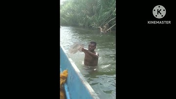 Lagu Aparuka terbaru 2023 ( kamoro)