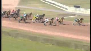 PMU , french horse racing results Theme 1 ( TF1 / 2007 )