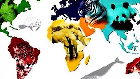 Wildlife Forensic – I (CH-06) #swayamprabha