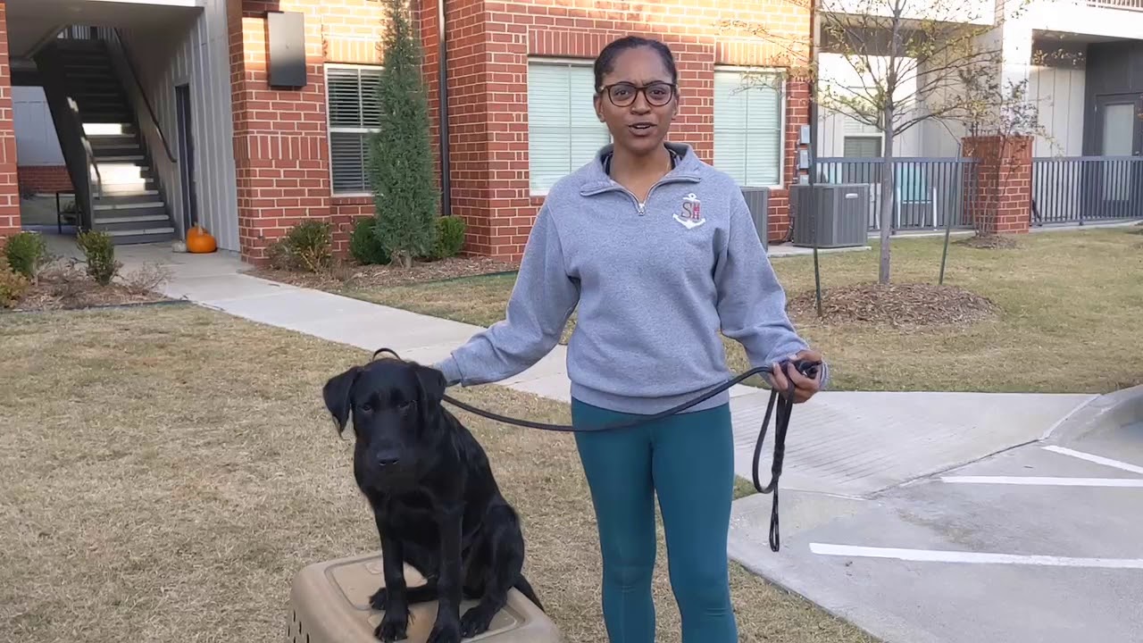 Tip Top K9 Reviews | Tulsa Obedience Training | Tip Top K9 | Michaela