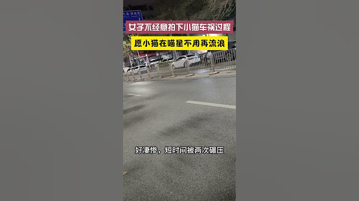 女子无意间拍下流浪猫过马路被车碾压的悲惨画面，愿小猫回到喵星，不再流浪，不再痛苦#cat#cats #animals #pets#kitten