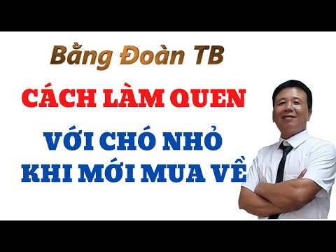 Video: Làm Thế Nào để đăng Ký Cho Một Con Chó