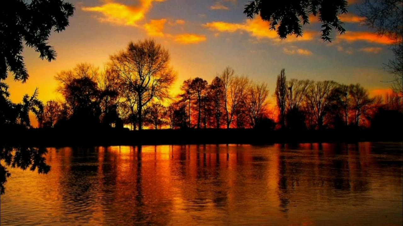 Mauro Picotto - Proximus (Extended Version) Mauro Picotto - Proximus (Extended Version)