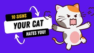 10 COMMON Signs Your Cat Hates You