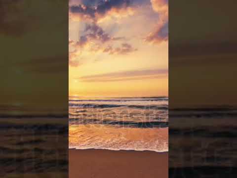 النقشبندي تواشيح قصدك من كل الجهات مناديا