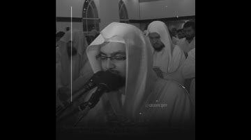 القارئ ناصر القطامي سورة (ال عمران)