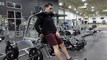 V-Squat (Hammer Strength)