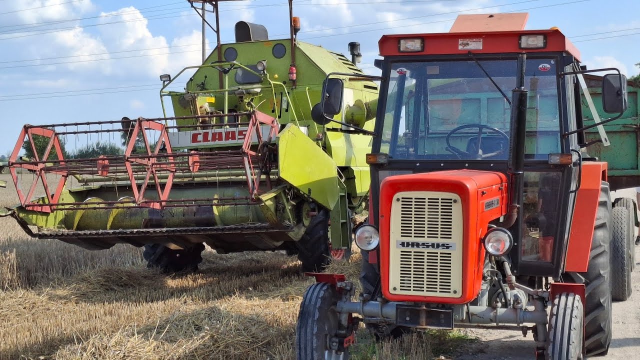 🇵🇱Klimatyczne żniwa 2025🇵🇱 Pszenżyto pod kose!!! URSUS C-360 | CLAAS MERCATOR 50 | HL IFA 6011