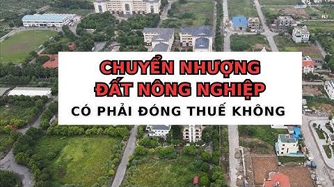Chuyển nhượng đất nông nghiệp có phải đóng thuế hay không? | Báo Lao Động