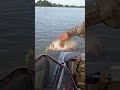 язь #поймалотпусти
