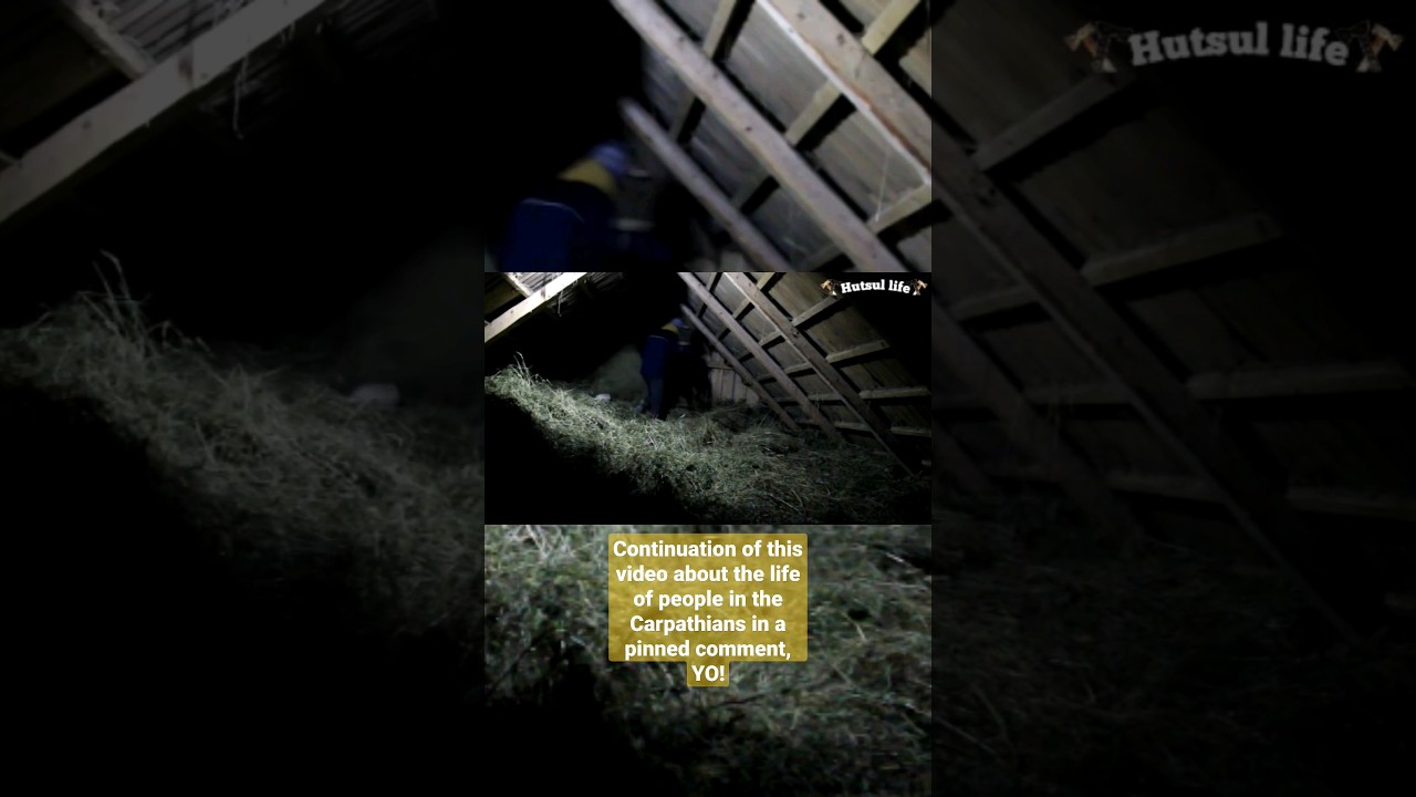 Video of how the indigenous people - HUTSULY - live in the Ukrainian Carpathians