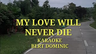 My Love Will Never Die Karaoke By Bert Dominic