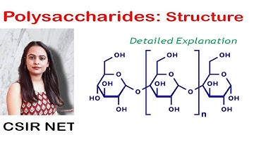 Polysaccharides/homopolysaccharides/carbohydrates L-3/CSIR-NET