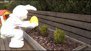 Easter Egg Hunt. Easter traditions. ESL\/ESOL video A1-A2