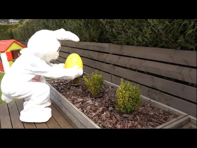 Easter Egg Hunt - Easter Traditions