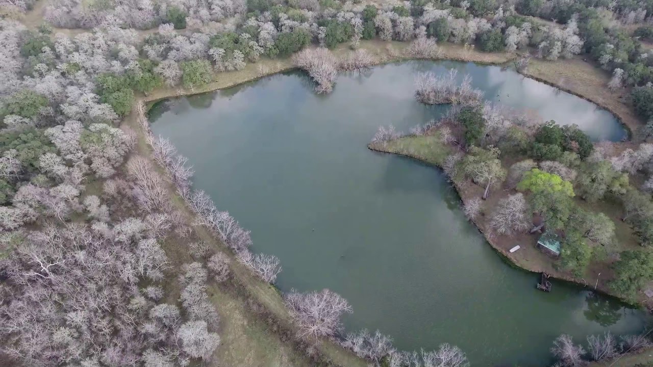 250 Acres Located in Damon, Texas on the Brazos river. YouTube