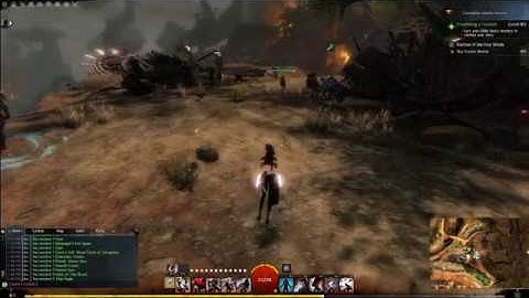 Guild Wars 2 - Armor Texture Bug