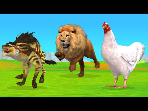 वीडियो: क्या लकड़बग्घा मुर्गियां खाते हैं?
