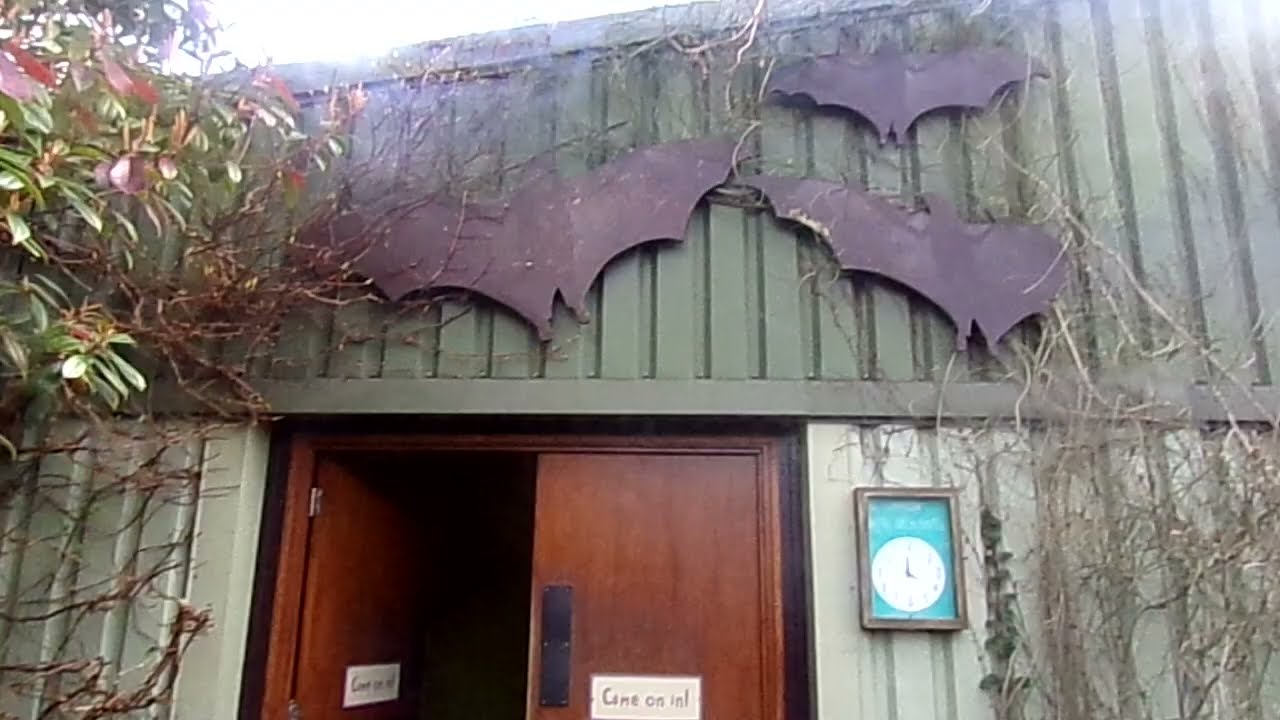 The Bats at Chester Zoo YouTube