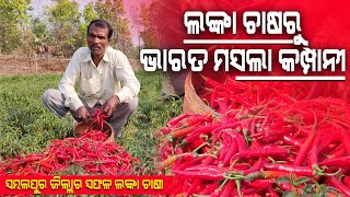 ସଫଳ ଲଙ୍କା ଚାଷୀ ସମ୍ବଲପୁର ଜିଲ୍ଲାର || Chilli Farming in Odisha, Govt Subsidy on Chilli Processing Unit.