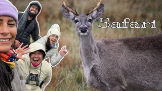 De SAFARI en el PÁRAMO con Jesús y Vale 🦌🐾🔭 (venados salvajes) Josue y Elie