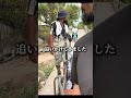 謎の男に追いかけられました