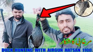 Duck Hunting in Pakistan 2020 | Geese | goose hunting in pakistan 2021 | murghabi ka shikar | Hatsan