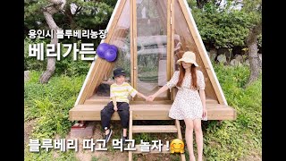 [이서TV]재밌는데 예쁘기까지 한 블루베리 따기 농장 베리가든🫐 🏕️ 놀거리 완전 많음!