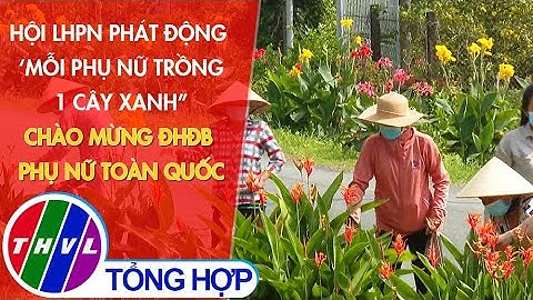 Hội LHPN phát động ‘Mỗi phụ nữ trồng 1 cây xanh” chào mừng Đại hội Đại biểu Phụ nữ toàn quốc