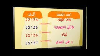إعلان رنات ألبوم يا أستاذ - طيور الجنة 1429 هـ 2008 م