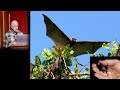 Merlin Tuttle's Keynote Presentation at the Arc of Appalachia's Wildflower Pilgrimage, 2023