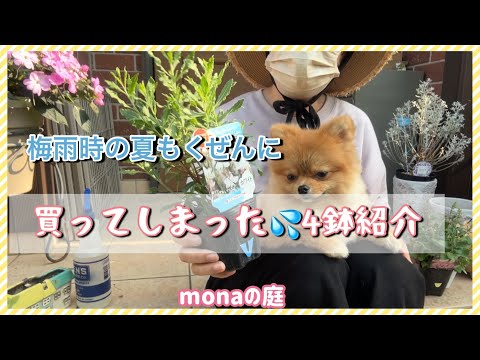 おかちゃん RAKUCHINおかちゃん - YouTube
