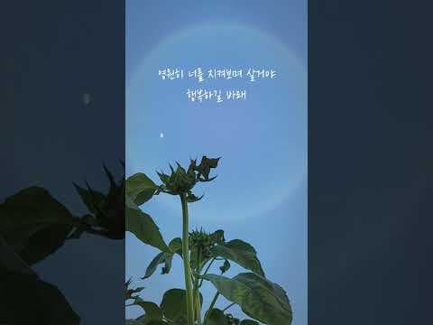 #캔(Can)#천상연
