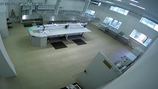 Видеотрансляция ГИА Видеотрансляция ГИА