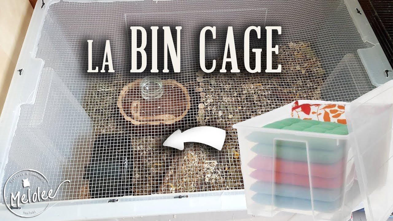 Cage Hamster Fait Maison | Ventana Blog