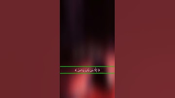 حالات واتساب دينية  ( آيات من الذكر الحكيم)
