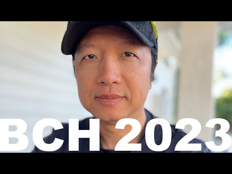 Bitcoin Cash BCH 2023