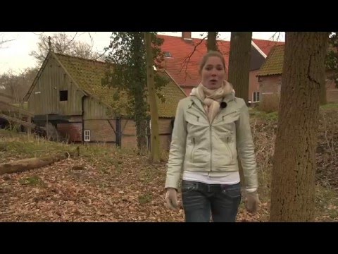Video: Hoe Een Watermolen Werkt