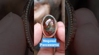 Batu Akik Nagasui Pancawarna Klawing Warna Lengkap Size Kantoran HQ #batuakik #nagasui #pancawarna