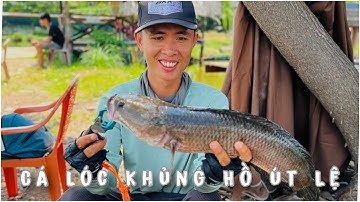 Giao lưu câu cá lóc hồ Út Lệ cùng với chủ đầm , fishing lure , snakehead fishing ( 2025 )