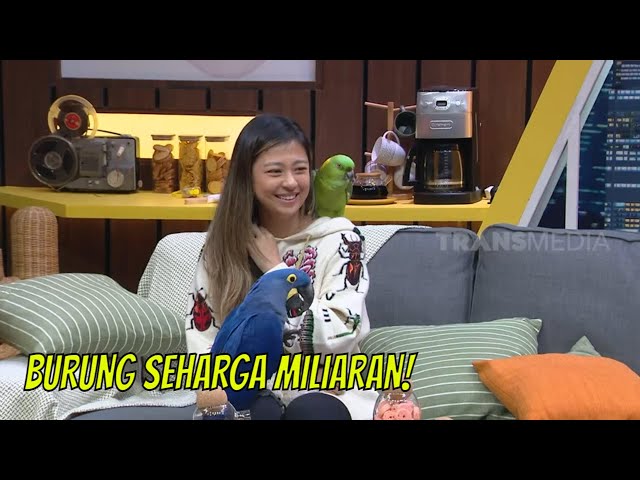 Fantastis, 35 Burung Jacqueline Wijaya Total Harganya Miliaran Rupiah! | TRIG3RR (07/05/22) Part 4 class=